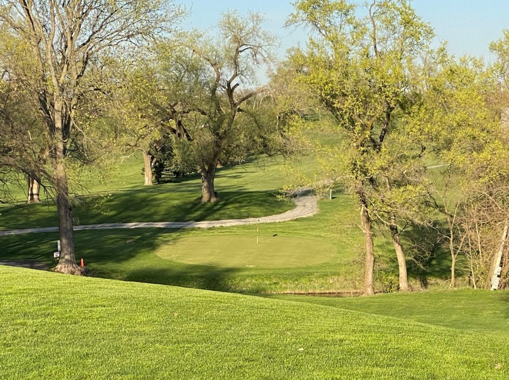 golf course green